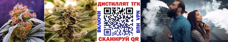 Купить закладки  Железногорск-Илимский  Дистиллят ТГК вейп 