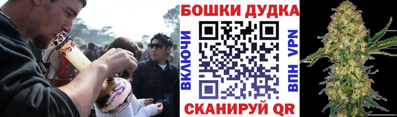 Купить где  Железногорск-Илимский  Каннабис White Widow 